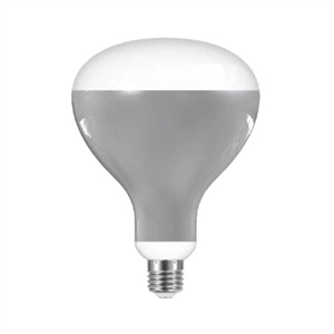 Bombilla LED Flos 13 W E27 220-240 V 2700 K R125