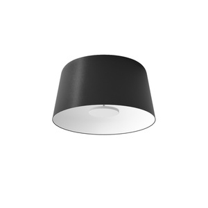 Lámpara de techo Linea Light Delfi_S Ø45 Negro