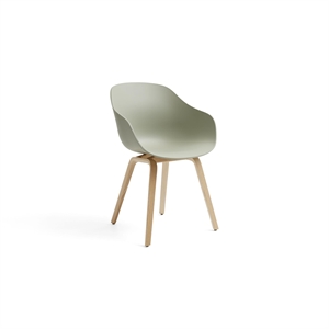 Silla de Comedor HAY AAC222 Roble/Verde Pastel