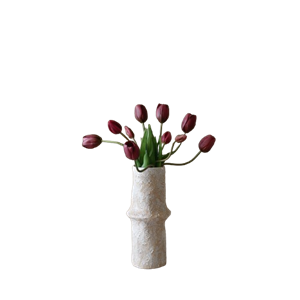 Púrpura de tulipanes morados de Botané