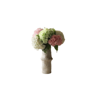 Ramo de Hortensias Multicolor Botané