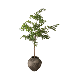 Botané Tropical Almond Wood Verde