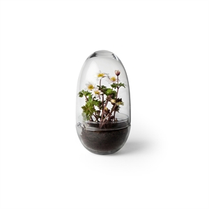 Jarrón de Cultivo de Design House Stockholm, Mediano, Transparente