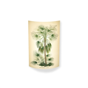 MagicoClaudio Moments Palm Lámpara de Pared
