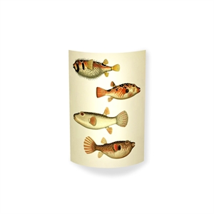 MagicoClaudio Moments Lámpara de Pared 4 Peces