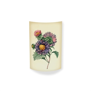 MagicoClaudio Moments Lámpara de Pared Aster Chinensis